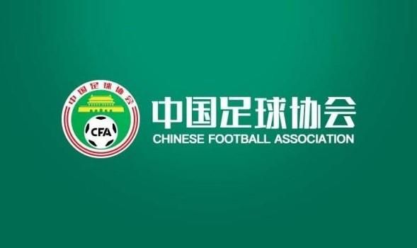 会员的精彩待遇