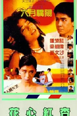 我的电话情人