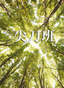 三级网址大全